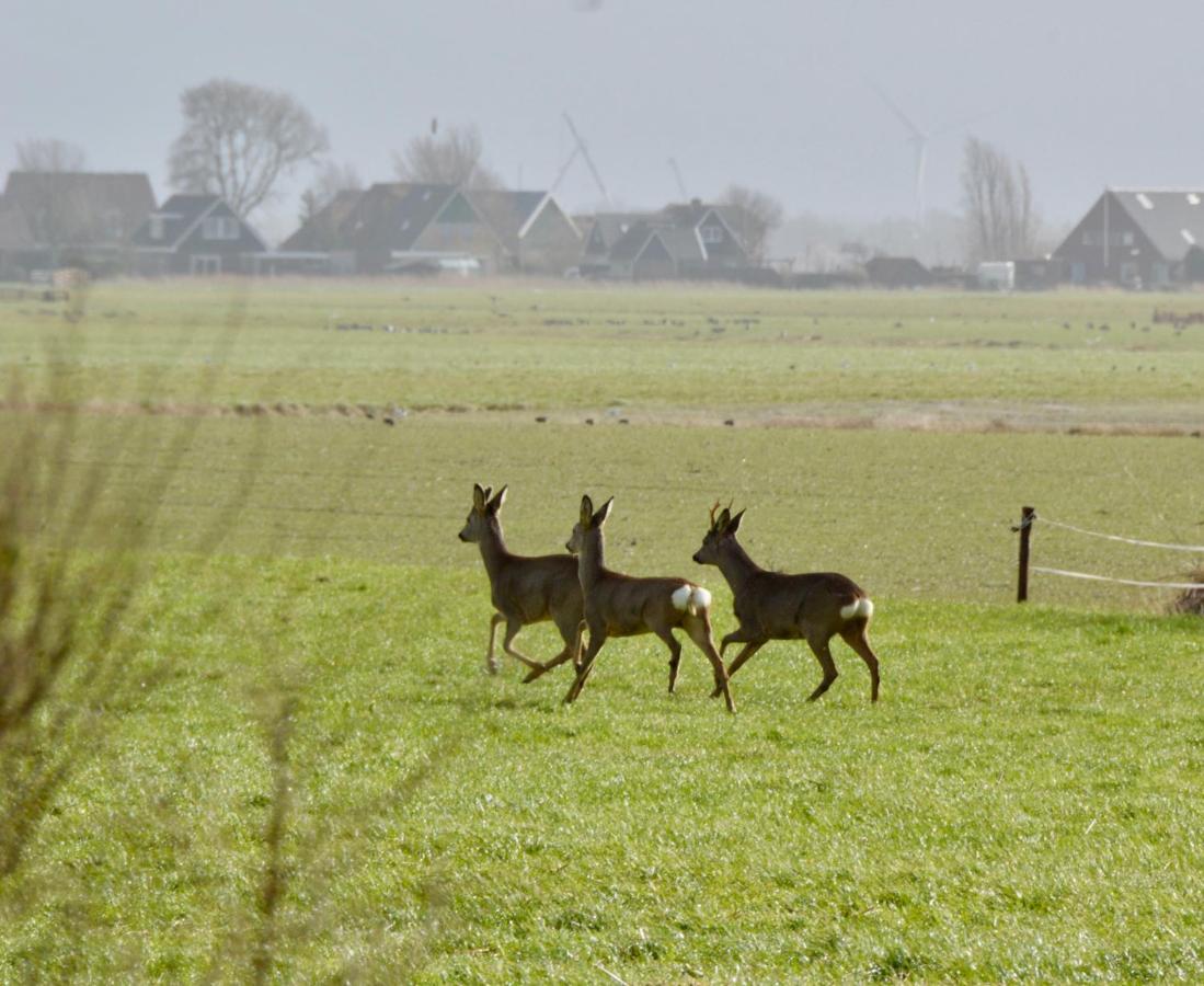 Het Melkhuis Op Prachtig Landgoed Koepeltjesplaats Gaast Exteriör bild