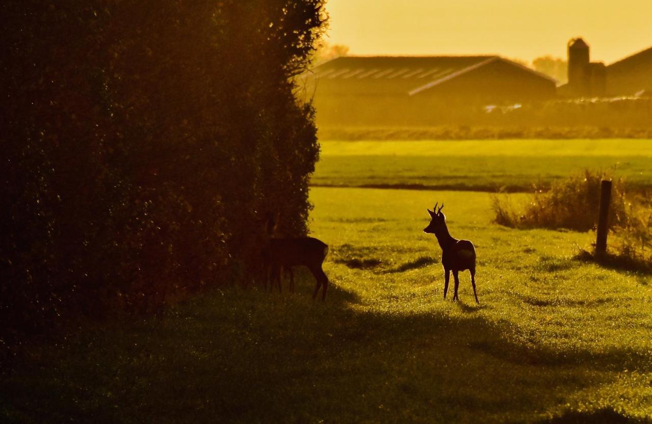 Het Melkhuis Op Prachtig Landgoed Koepeltjesplaats Gaast Exteriör bild