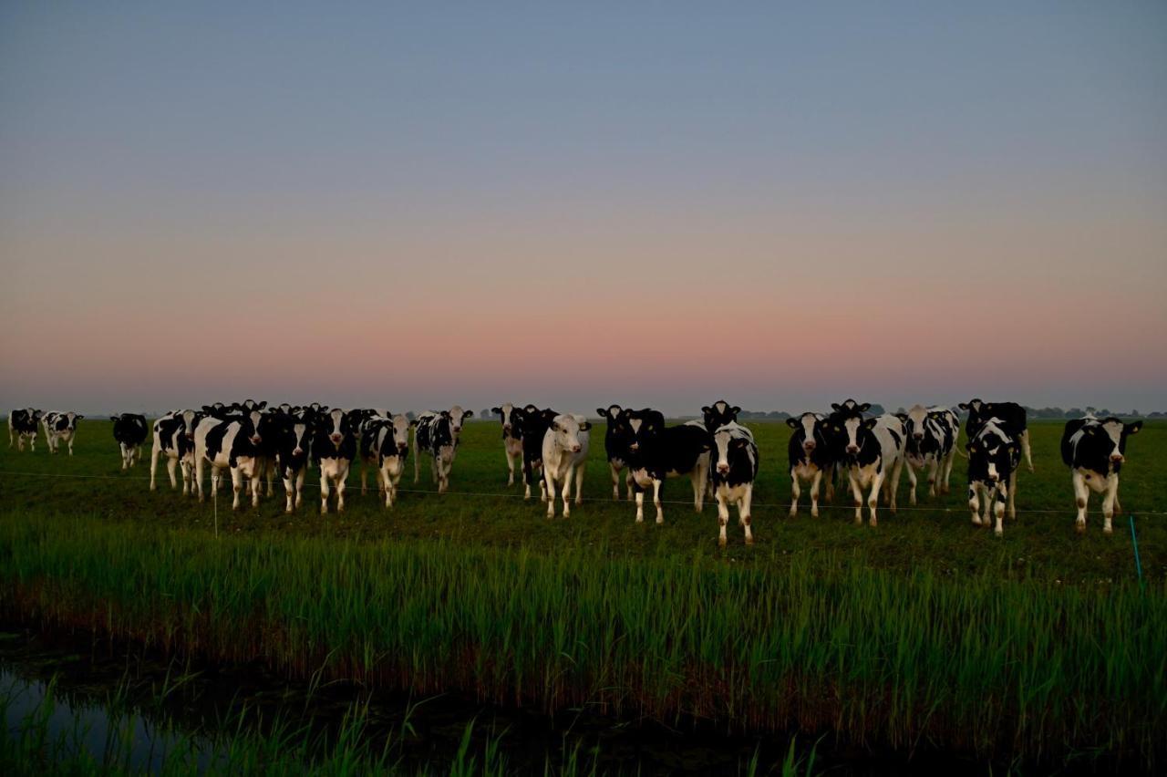 Het Melkhuis Op Prachtig Landgoed Koepeltjesplaats Gaast Exteriör bild