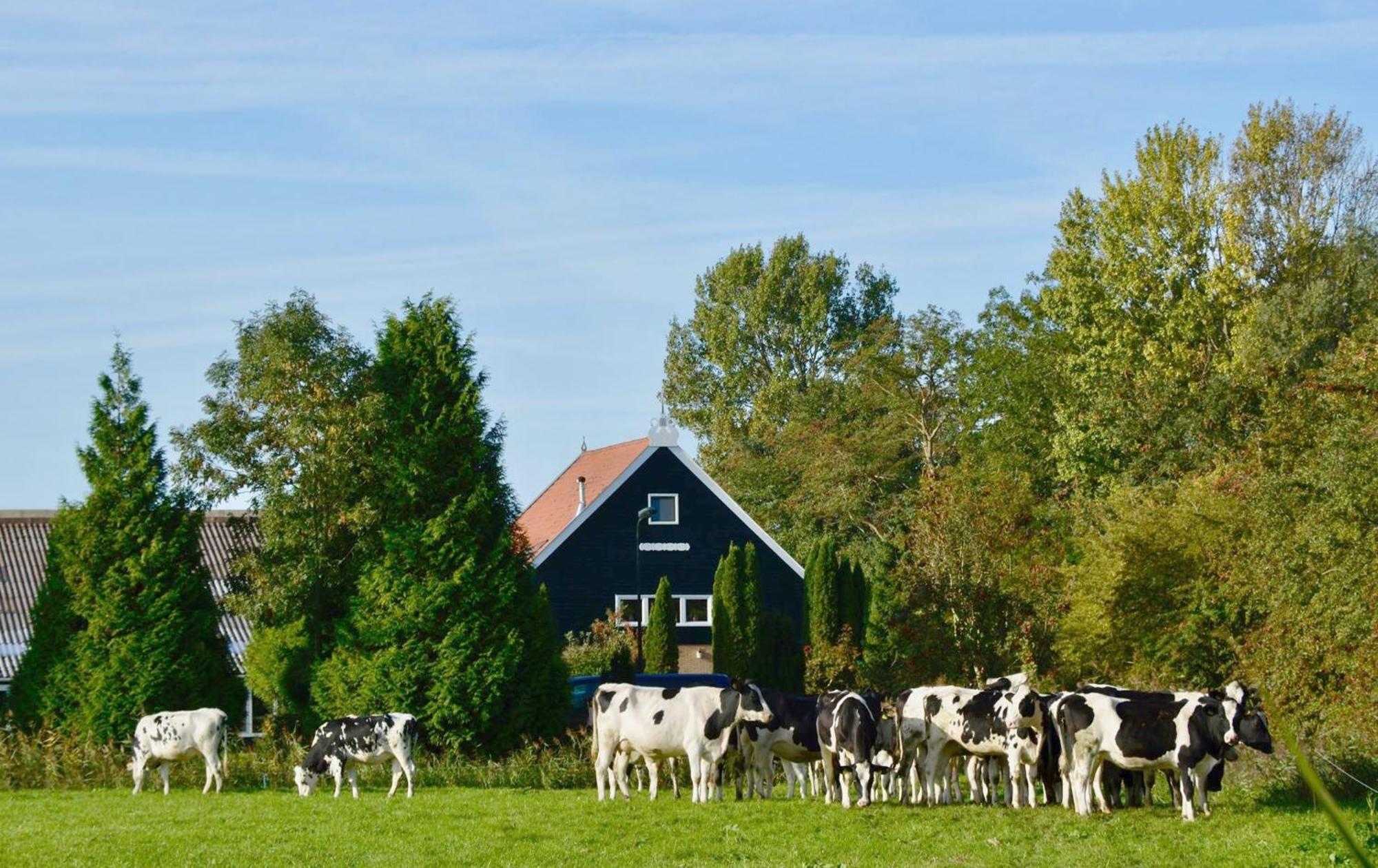 Het Melkhuis Op Prachtig Landgoed Koepeltjesplaats Gaast Exteriör bild
